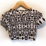 Kirra  Black And White Crop Top Photo 0