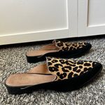 Halogen  Western Corbin Leopard‎ Mules Shoes Size 8.5 Photo 2