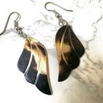 Abalone wing earrings Photo 0