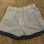 THML Blue gingham shorts Photo 1