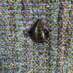 Lynn Yarrington blue tweed collared long sleeve jacket blazer women's size XS Photo 6