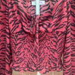 Buddy Love Cropped Top Shirt Zebra Stripe Shirred Smocked Puff L/S Size Small Photo 1