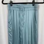 Melissa Nepton Teal Orli Wide Leg Satin Pants Sz.XS Green Photo 2