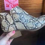 Michael Shannon Michael By  Snakeskin Booties Photo 0