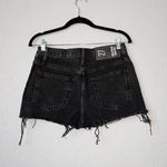 BDG NWT  x Urban Outfitters Black Washed Girlfriend High Rise Shorts Size 27 Photo 6