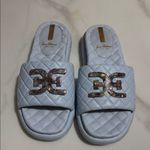 Sam Edelman  Light Blue Quilted Slides with Tortoise Detail Photo 1