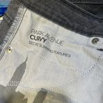 Jones New York  Park Avenue Dark Gray Curvy Jeans Photo 1