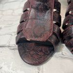 SOLE DIVA Heeled Gladiator Shoe Burgundy/Black Snake Print Photo 6