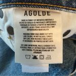 AGOLDE  High Rise 90’s Pinch Waist Straight (in RULE) Photo 11