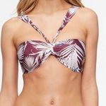 TAVIK Ever Latona Palm Merlot Bandeau Bikini Top M Size M Photo 0