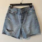 American Eagle Denim Shorts Photo 0