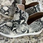 Steve Madden Snakeskin Slip-On Shoe Photo 3
