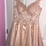 ladivine by cinderella divine dress champagne formal dress Photo 0