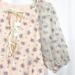 Capulet x Revolve Sheer Rosewood Embroidered Prairie Dress Cottagecore Photo 6