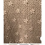 Hazel‎ crochet lace top beige medium boho tan Feminine, Floral Details, Unique Photo 3