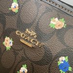 Coach City Tote In Signature Canvas With Vintage Mini Rose Print c7274 Photo 3