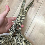 Nine West Faux Snakeskin Crossbody Bucket & Drawstring Bag Photo 2