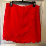 Draper James Skirt Photo 0