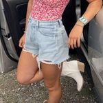 ZARA Floral Corset-Style Bodysuit Photo 0