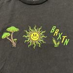 PacSun BRIXTON Wellness Womens Skimmer Tee Photo 2