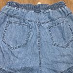 Disney  Peter Pan Tinker Bell Denim Ruffle Tinker Bell Embroidery Shorts Sz Large Photo 6