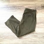 Bill Blass  Jeans  stretch olive green cropped pants Photo 8