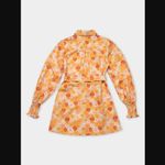 Charlie Holiday Amber Orange 70s Floral Belted Shirt Dress 4 Photo 8