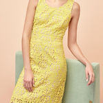 Banana Republic  Yellow Lace Dress | 2 NWT Photo 0