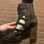 FREEBIRD by Steven  Heels Photo 2