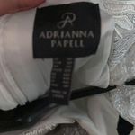 Adrianna Papell Dress Photo 1