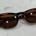 Chic Tortoise Shell Cat Photo 0