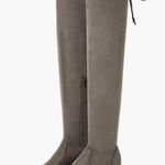 JustFab Hannah Over-The-Knee Boot Size 10 NWOB. Reg $64.95 Photo 0