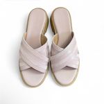 Madewell Women's The Alina Platform Sandal Size 8 Warm Thistle Petal Pink Summer Photo 1