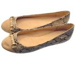 Kelly & Katie Wendie Snakeskin Print Ballet Flats – Women's Size 8.5M Photo 2