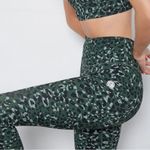Cream Yoga Nancy Ribbed Green Cheetah Leggings Size M Photo 3