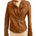 Icec Tan Leather Motto Jacket for Women Brown Photo 0