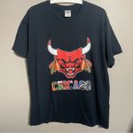 Chicago Bulls T Photo 1
