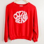 J.Crew Cozy Season Graphic Sweatshirt Red Raglan Sleeve Women's Size S Photo 0