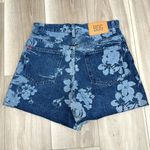 Urban Outfitters  BDG A-line high waisted denim shorts size 29 Photo 3