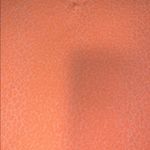 Avia 🪂  BRIGHT ORANGE ANIMAL PRINT TEE 🪂 Photo 1