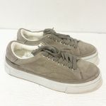 ALLSAINTS  Size 6 Grey TRISH LOW TOP PLATFORM SUEDE LEATHER WOMEN'S SNEAKERS Photo 2