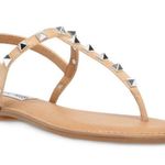 Steve Madden Tan  Generate Sandals Photo 0