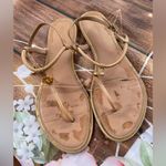 Tory Burch  Tan Sandals with Gold Medallion Photo 2