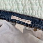 The Great . The Cut Off Shorts Photo 3