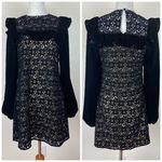 Nightcap  Black Lace Velvet Sleeve Dress Photo 1