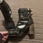 FREEBIRD by Steven  Heels Photo 3