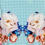 6 Shore Road  Swim Suit Womens Large Blue White Sweel‎ Surfsuit Peony Gingham Photo 3