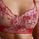 Sheer fabric intertwined with lipstick red fabric sensual bra. Cup size fits DD Photo 0