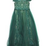 Tadashi Shoji NWT TOO Goldeneye Gown in Cedar Nude Tulle Mesh Dress 14Q Photo 6