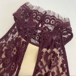 Keepsake The Label One Night Lace Dress: Fig (Wine/Burgundy) Photo 9